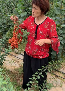 水果奶奶945234，从网红到乡村振兴的使者的蜕变