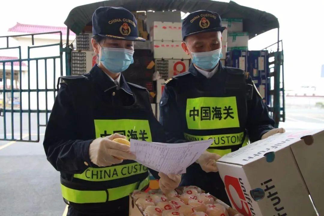 澳门水果奶奶，最新版本更新内容详解——版本X.Y.Z的惊喜与革新