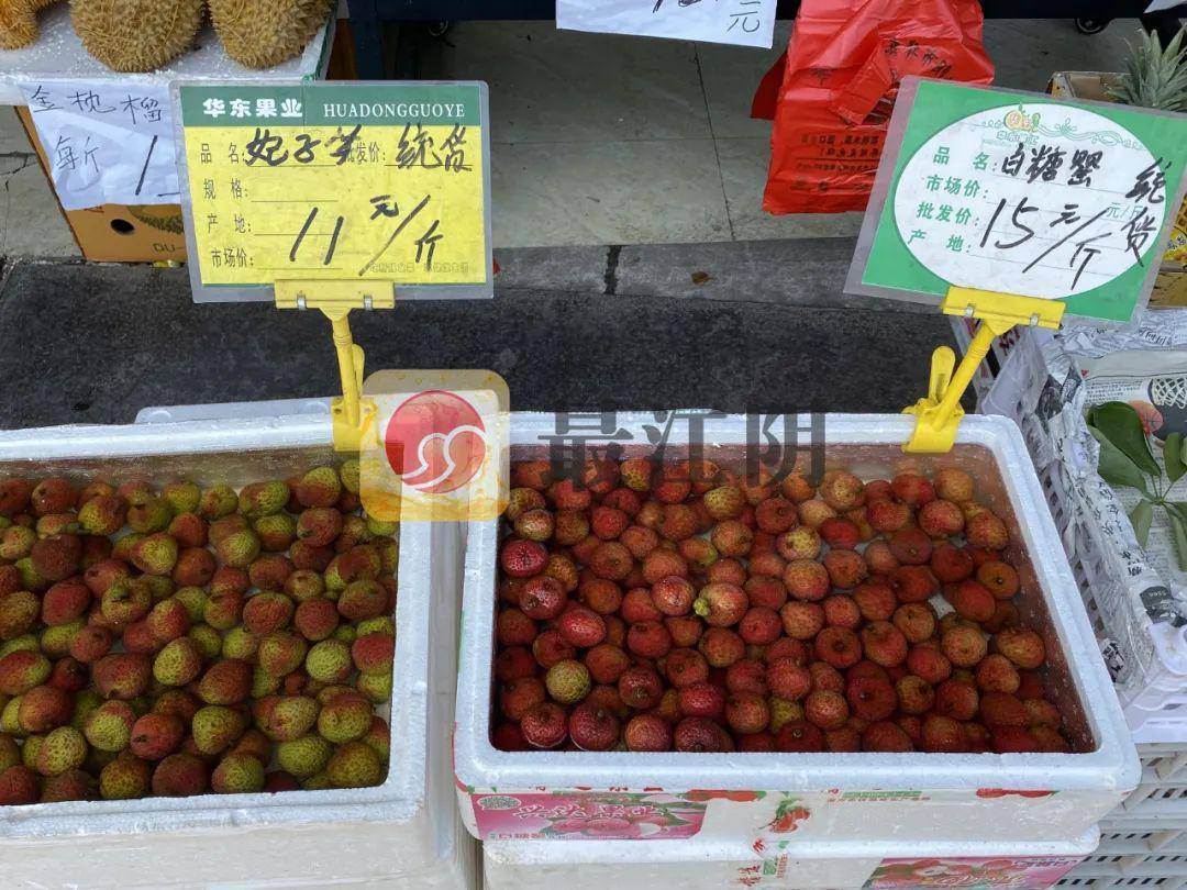 澳门水果奶奶355677最新价格行情走势分析