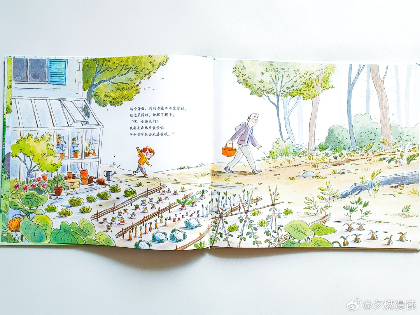 水果奶奶 第24页