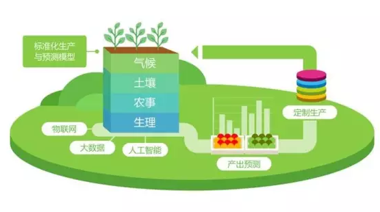水果奶奶 第22页