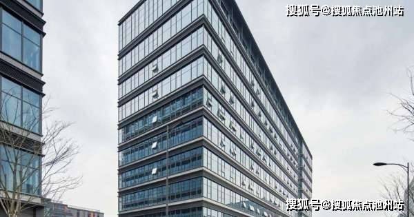 水果奶奶正版资料大全，官方版亮点与最新版解析