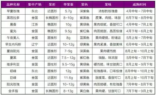 水果奶奶180168最新价格行情分析
