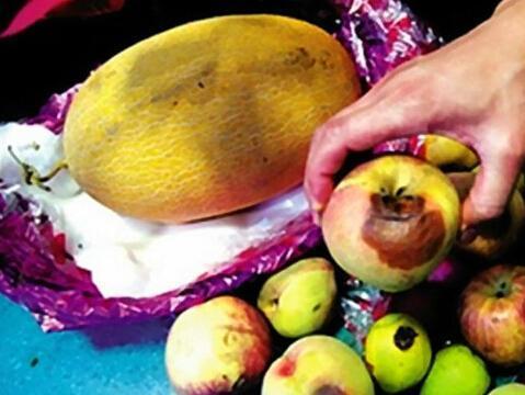 台湾水果奶奶 第11页