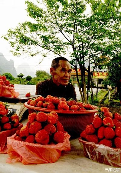 台湾水果奶奶，品味自然之美的甜蜜使者