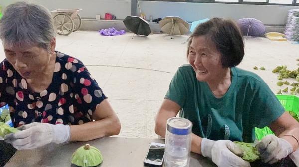 台湾水果奶奶，正版资料大全最新指南