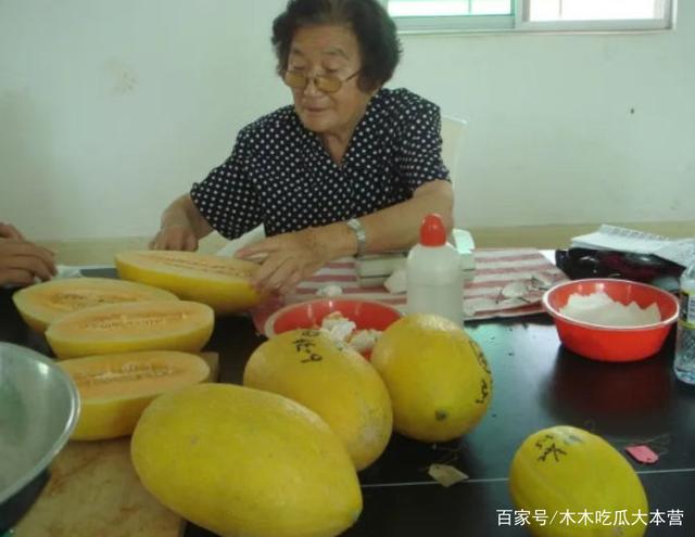 旧版资料里的水果奶奶，岁月里的甜蜜记忆