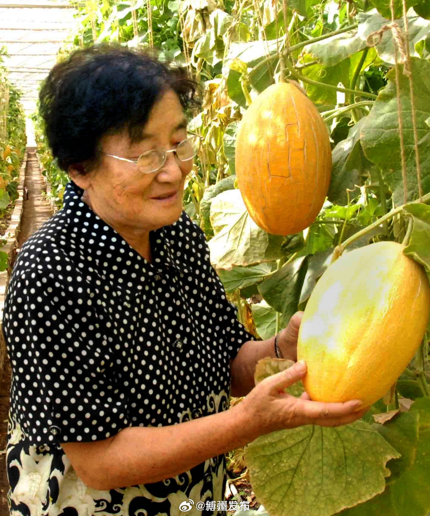 田间到餐桌
