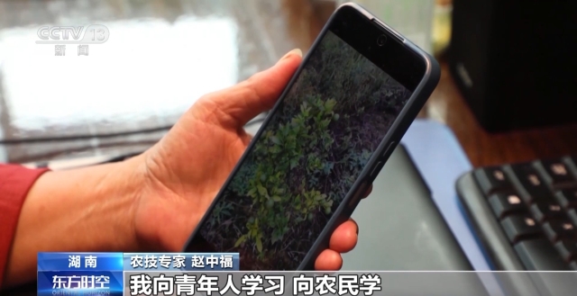 水果奶奶的13669新篇章，今日最新动态与影响