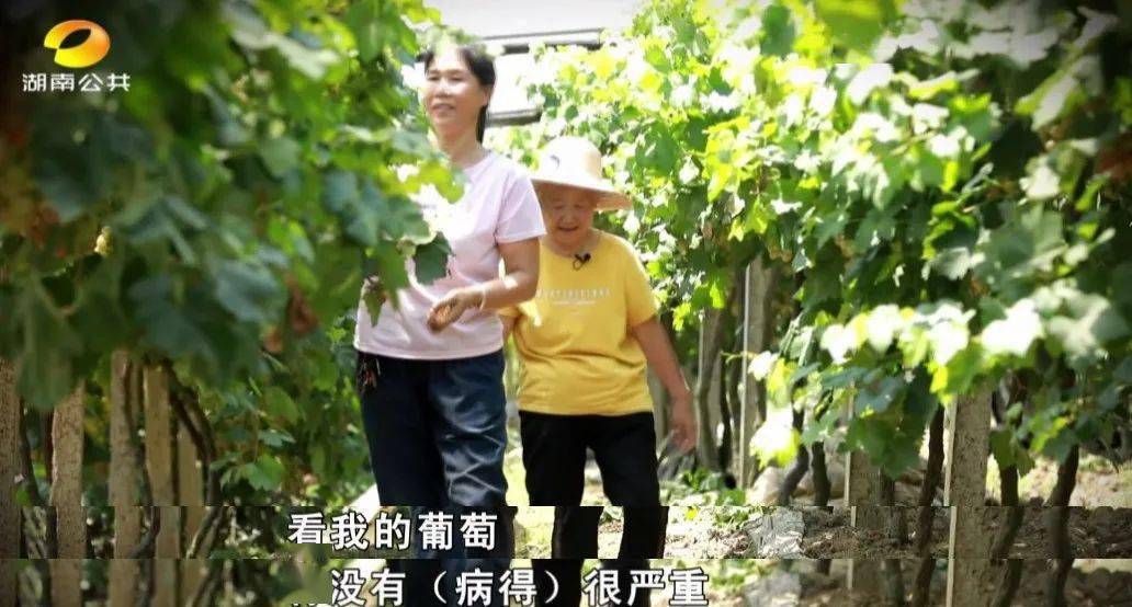 水果奶奶 第12页