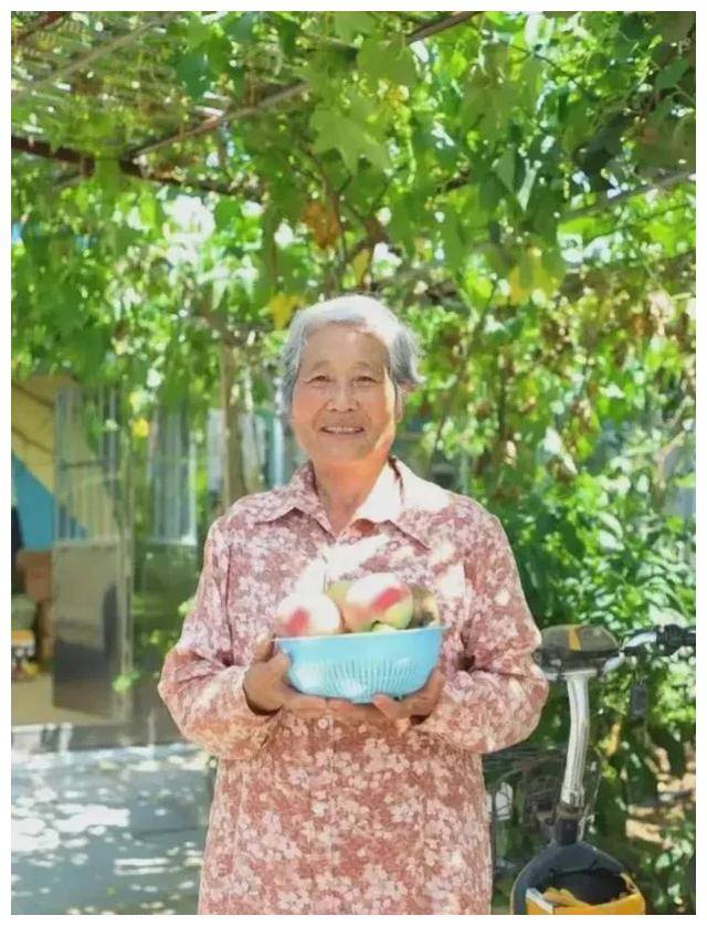水果奶奶资料免费论坛，为师吧最新免费版揭秘