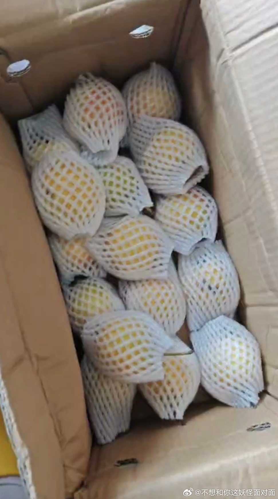 水果奶奶的65522与5855，最新消息的甜蜜传递