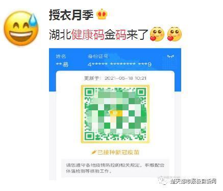 水果奶奶心水报2023年最新版，解锁健康与美味的双重密码