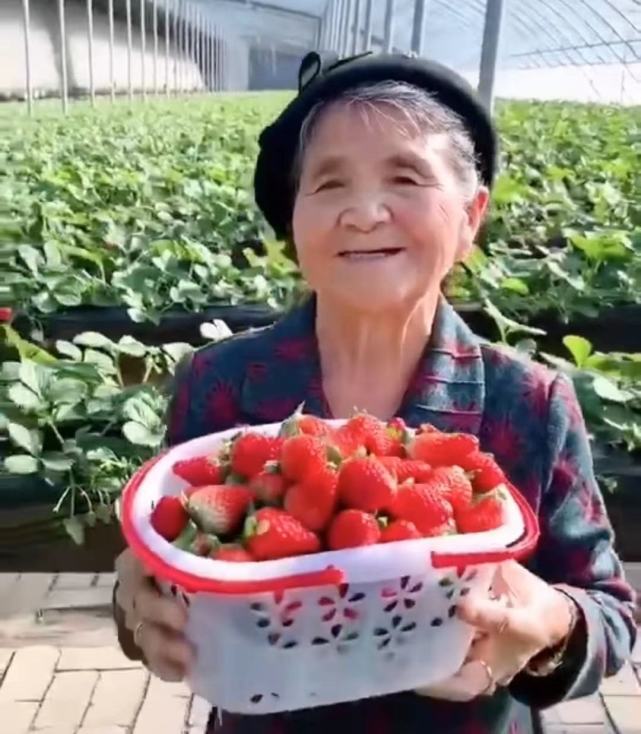 水果奶奶的612555坛最新消息，社区里的甜蜜风潮