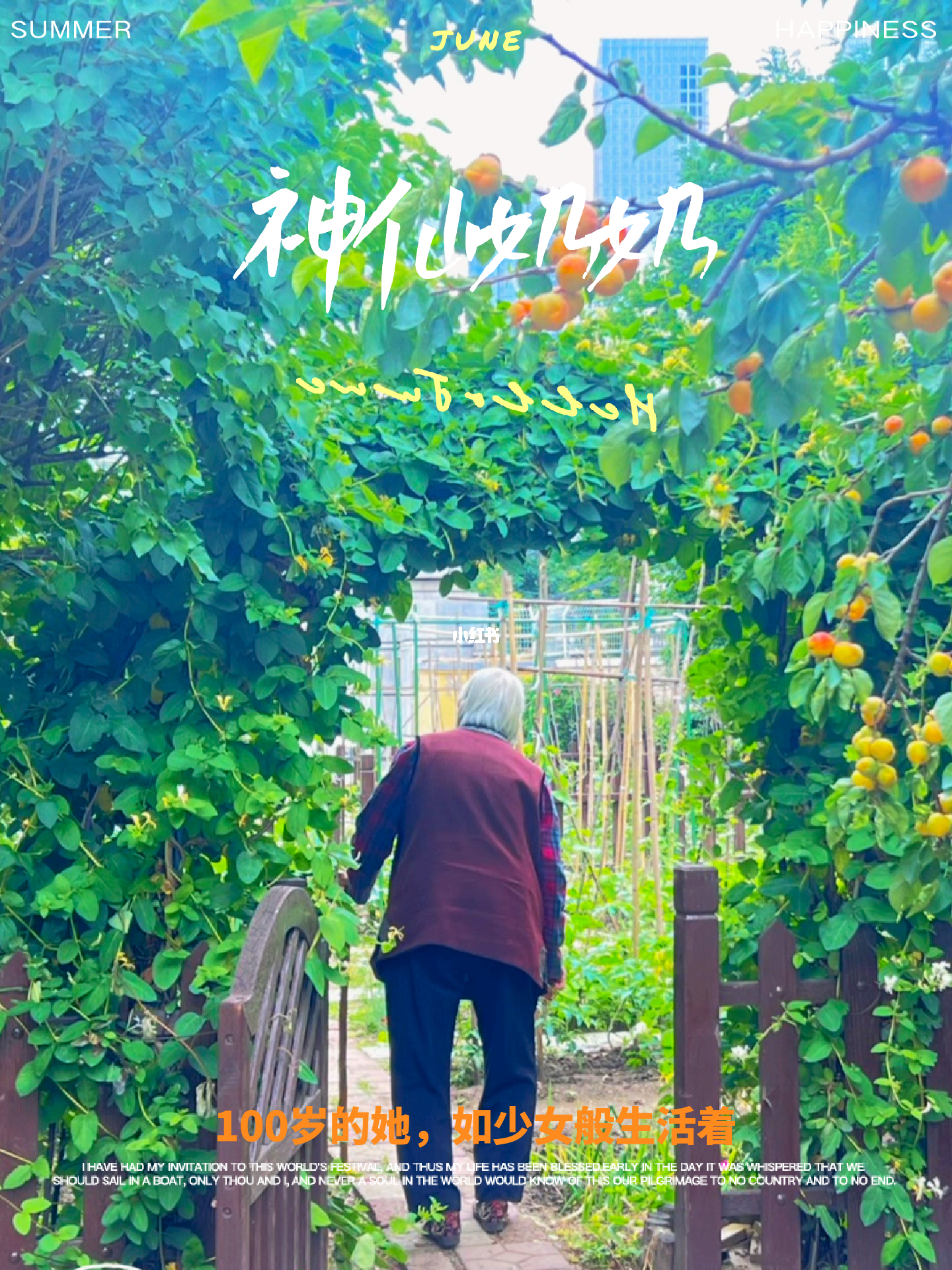 水果奶奶主题曲，一首让人心动的免费在线听歌佳作