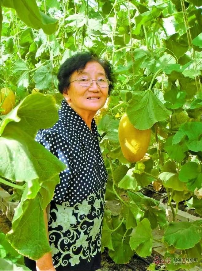 水果奶奶，一位被遗忘的饮食智慧传播者