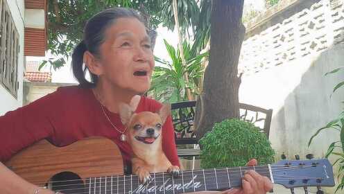 水果奶奶主题曲的甜蜜旋律，一首英文金曲的背后故事