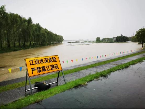 江苏体彩七位数，基本走势图带连线的深度解析