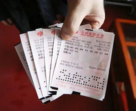 彩票中奖号查询，揭秘背后的故事与技巧