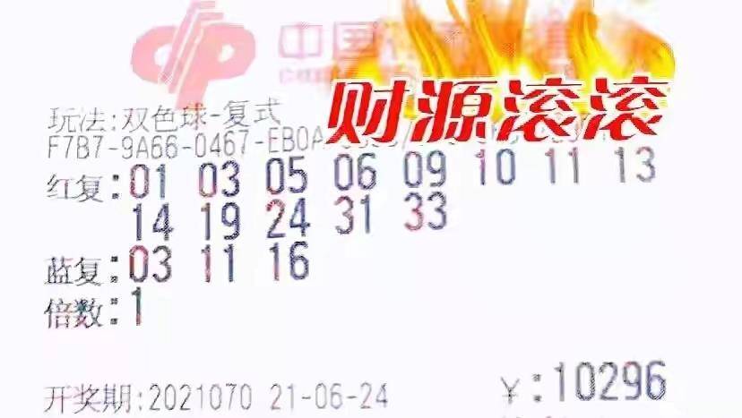 2024年双色球2024061期开奖号码揭晓，梦想与幸运的碰撞