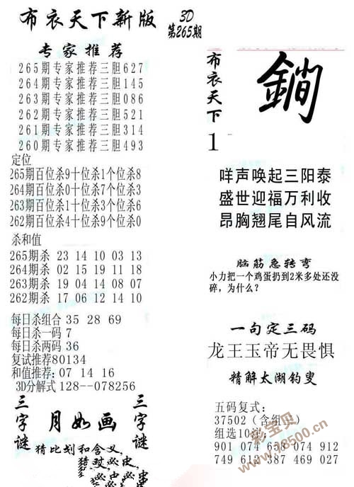 3D布衣精华123456，今日全图深度解析