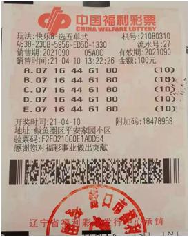 辽宁福彩中心官方网站，公益与梦想的桥梁