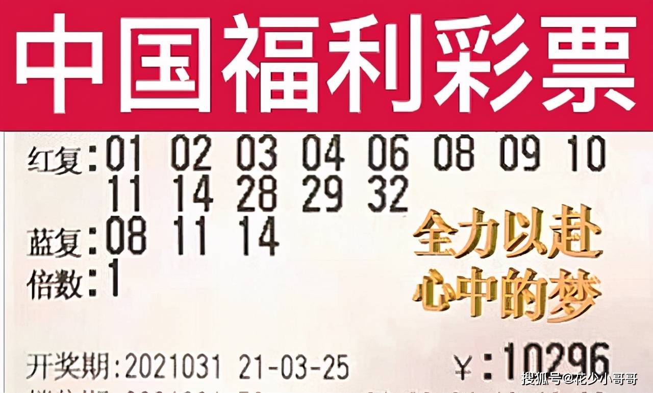 福建31选7今晚开奖号码结果查询，揭秘彩票背后的故事与理性态度