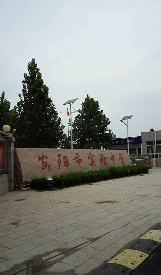 河南22选5，新浪彩票的数字游戏与公益梦想