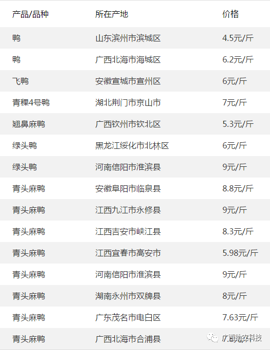 河北20选5，最新开奖揭秘与彩民心声