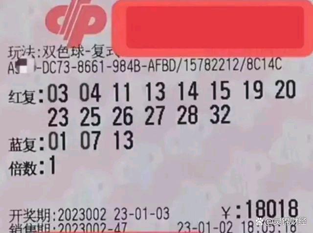 2024131期双色球，梦想与机遇的碰撞