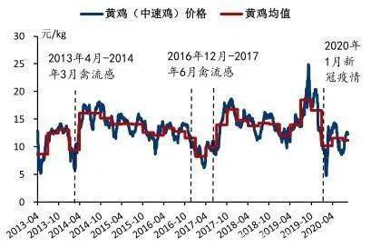 超级大乐透，解锁基本走势图表的秘密