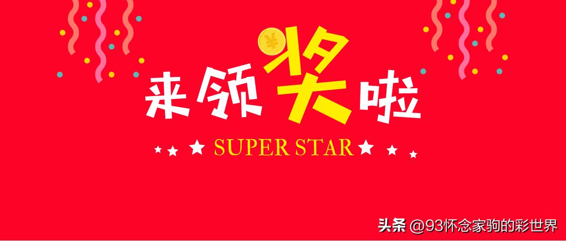 探索大乐透中奖规则及奖金图，揭秘幸运背后的秘密