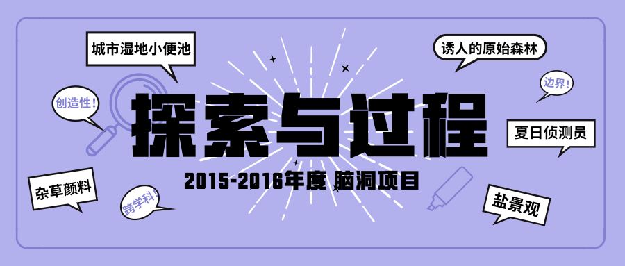 探索新澳现场开奖结果查询，透明、公正与科技的完美融合