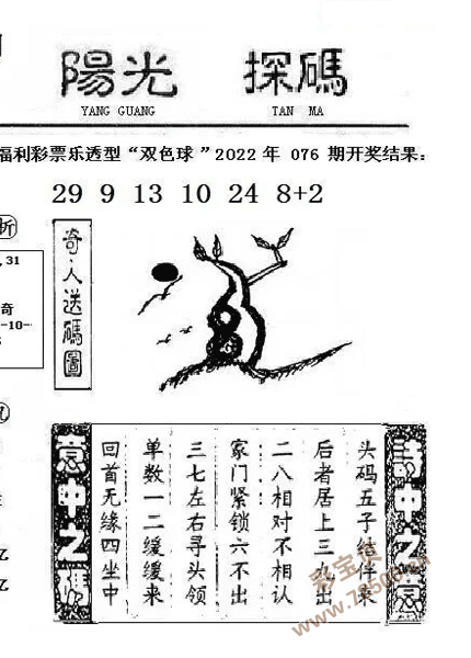 3D字谜图谜总汇，牛彩中的智慧与乐趣