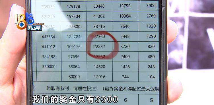 千禧排三开机号试机号查询，揭秘彩票背后的数字游戏