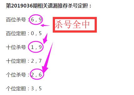 3D彩票，杀号定胆与彩宝贝的智慧博弈