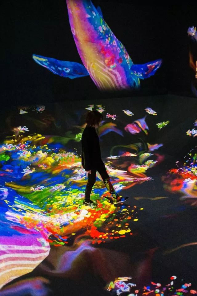 探索视觉新境界，3D图片的魅力与未来