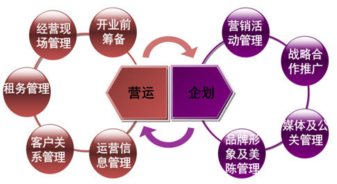 明天双色球预测，专家深度分析与理性解读