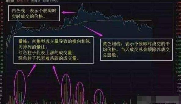 排列五综合版走势图专业版，深度解析与实战策略