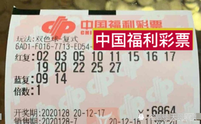 本期香港码开奖结果揭秘,数字背后的幸运与期待本期香港码开奖结果现场直播