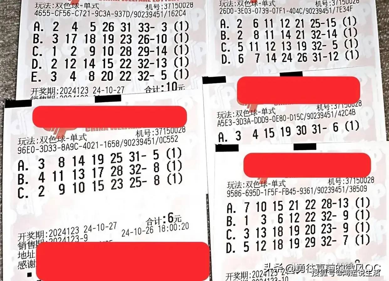 彩票网500，数字背后的梦想与现实