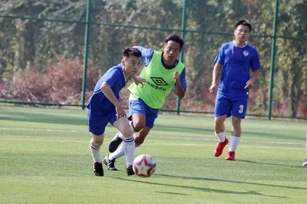 90比分即时足球比分，LocalPC端体验的革新与优势