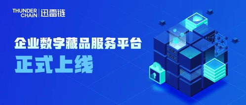 2021年管家婆全年免费资料，助力中小企业数字化转型的秘密武器