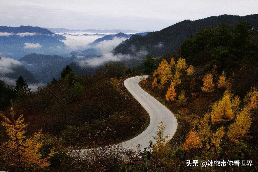 排列五近2000期查询，揭秘数字背后的规律与策略