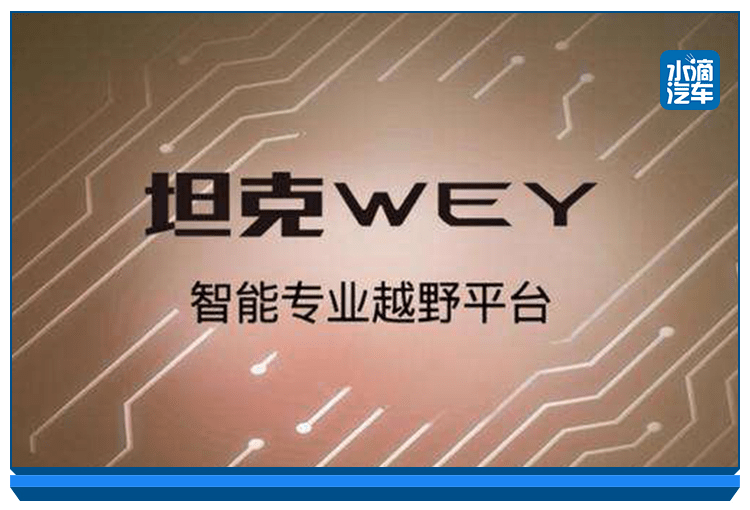 六年级主任 第215页