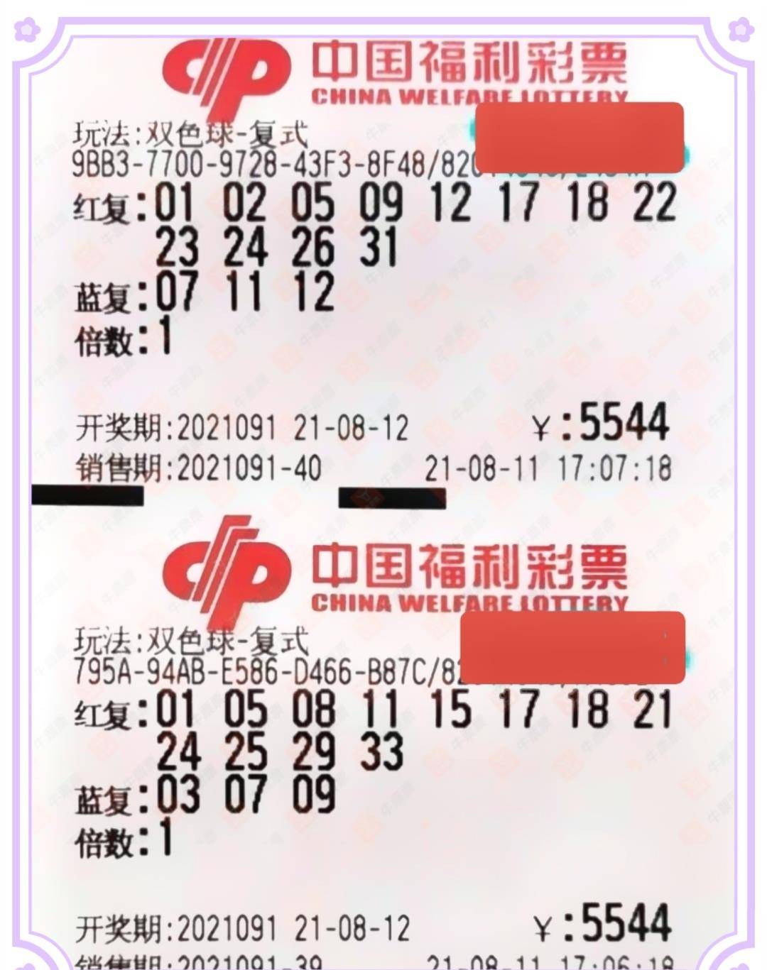 探索中国福利彩票的号码奥秘，随机与希望的交织