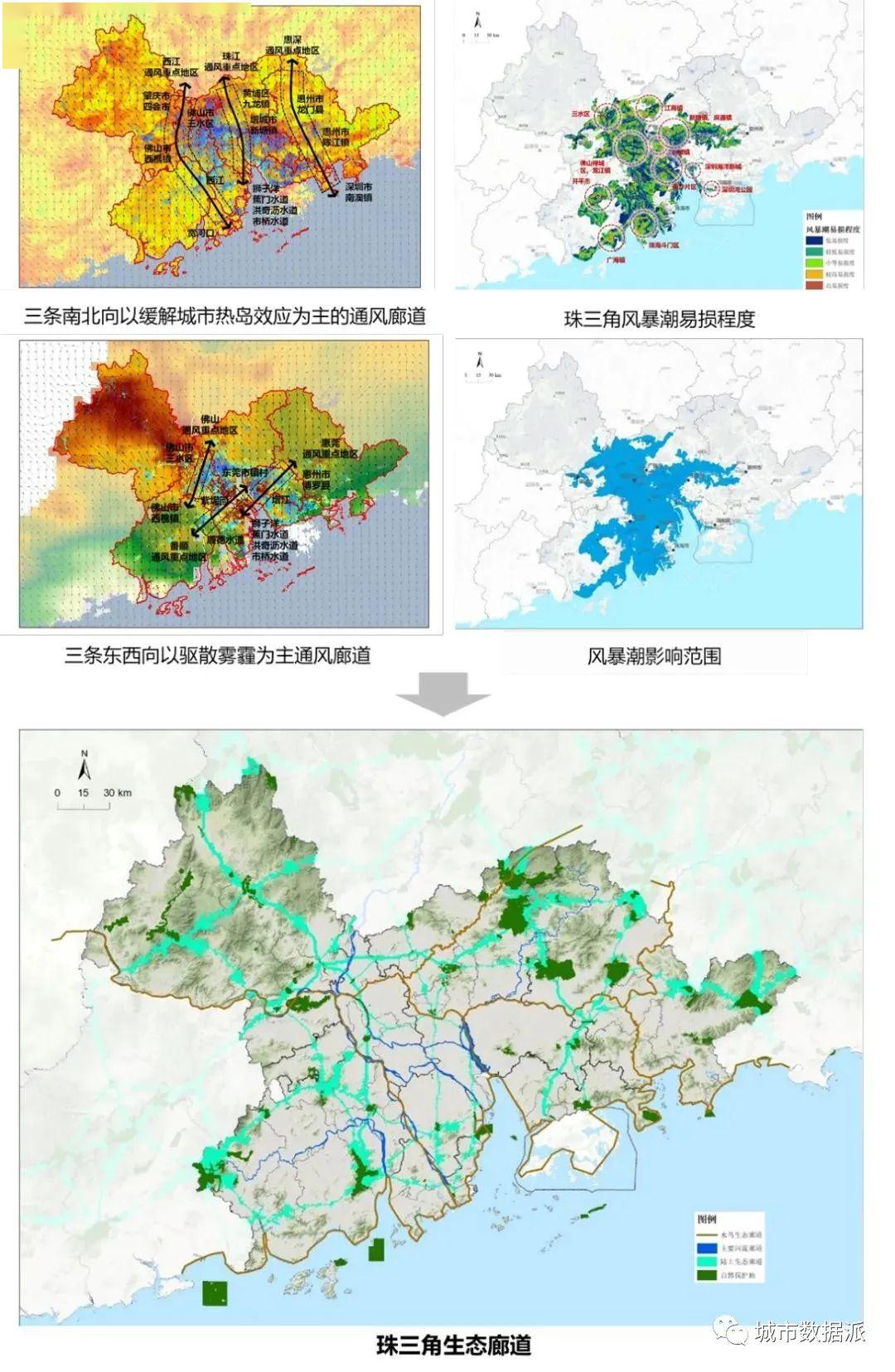 快乐八十，探索人生新境界的竖格分布图