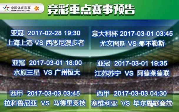 探索中国竞彩网首页胜平负计算器的奥秘与实用价值