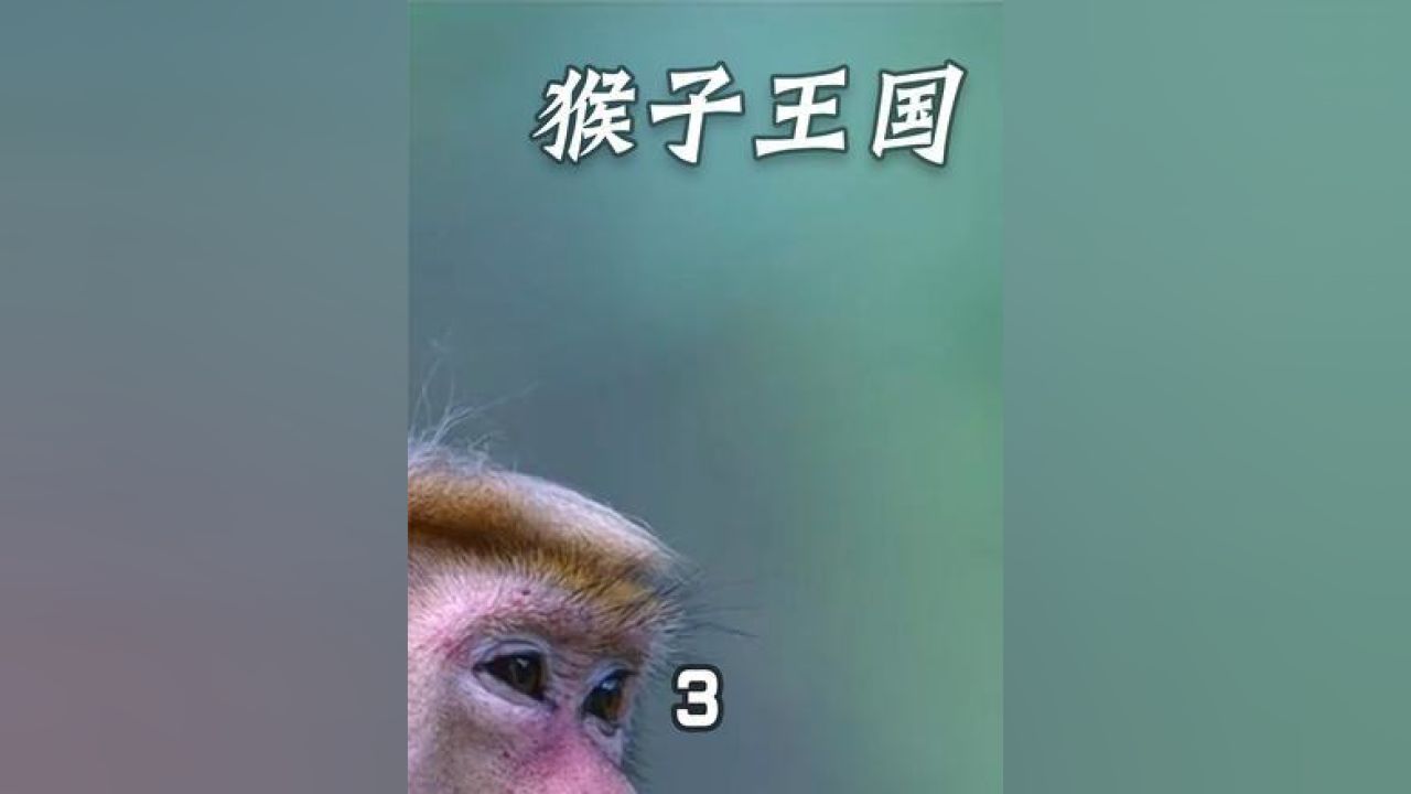 博士胆王，必下一的智慧与勇气