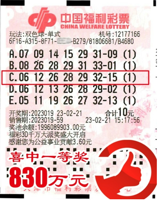 福利彩票双色球2023132期开奖揭秘，梦想与幸运的碰撞